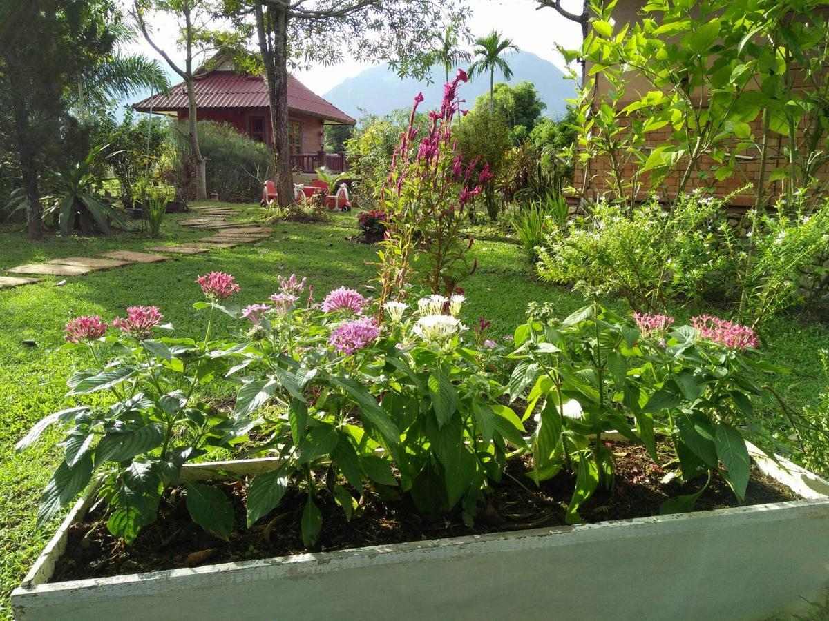 Maesai Doi View Villa Ban Dong Ma Tun Bagian luar foto