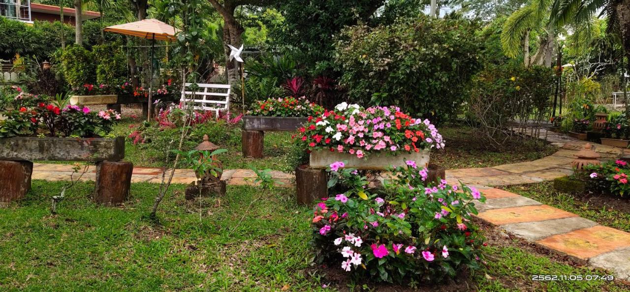 Maesai Doi View Villa Ban Dong Ma Tun Bagian luar foto